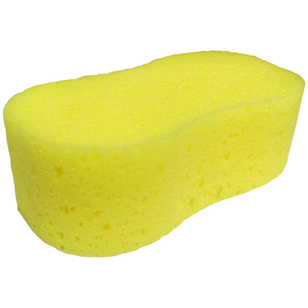 Bone Shaped Sponge