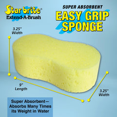 Bone Shaped Sponge