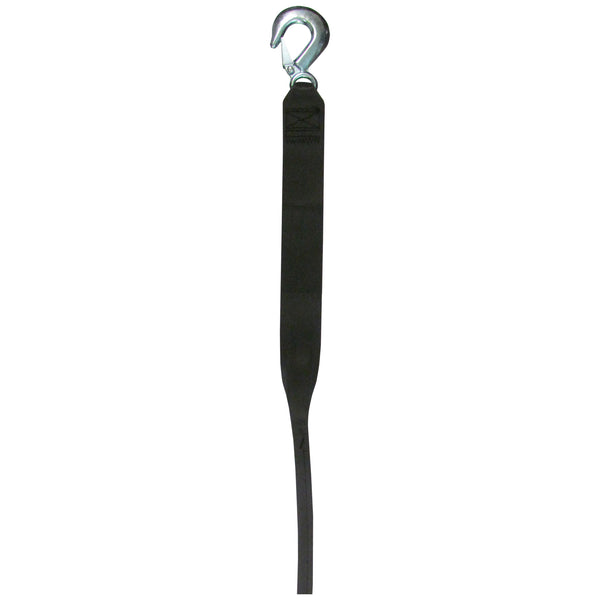 20' Heavy-Duty Winch Strap with Tail