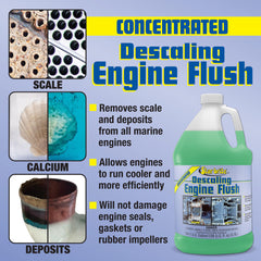 Descaling Engine Flush Concentrate