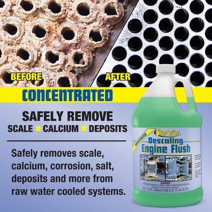 Descaling Motor Flush - Ideal for Boat Motors & Engines
