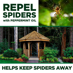 Spider Away