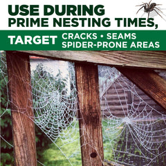 Spider Away