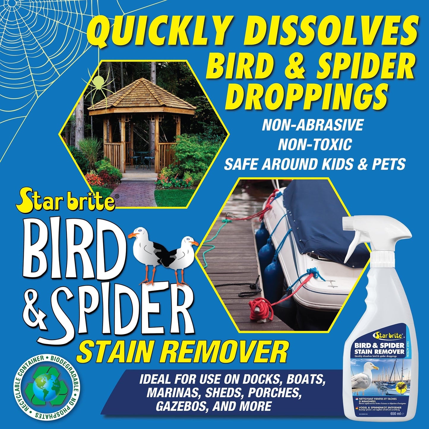 Premium Spider & Bird Stain Remover - Star brite Distributing, LLC