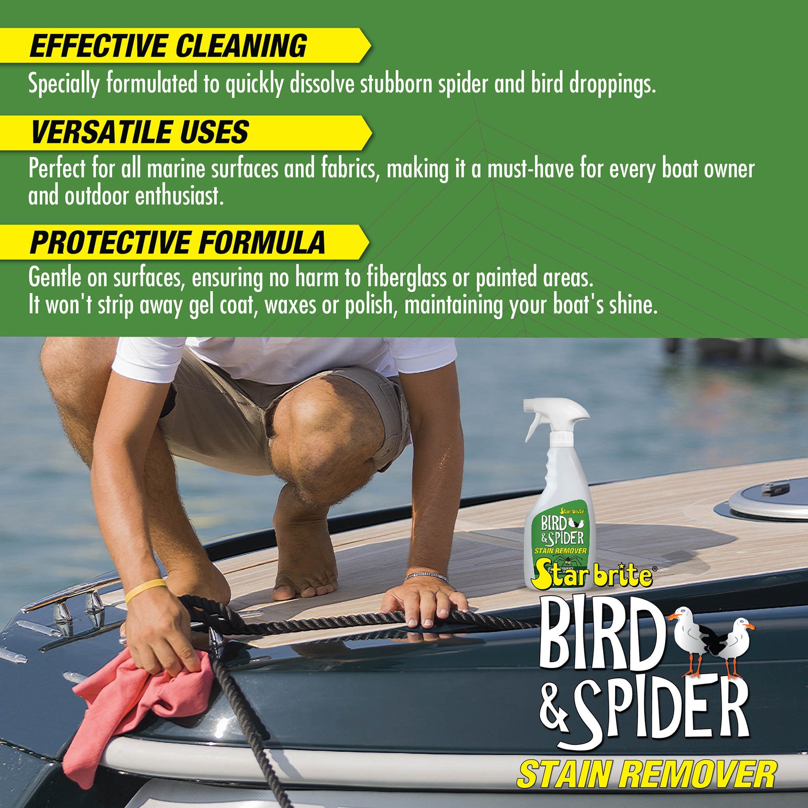 Bird & Spider Stain Remover