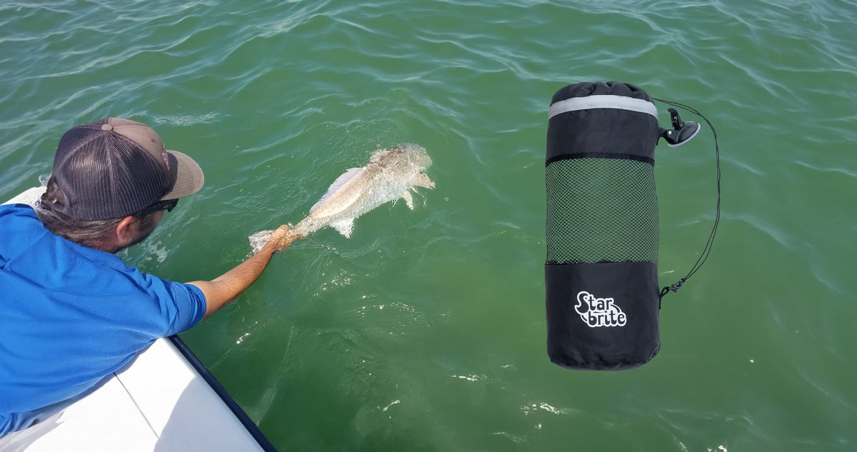 Alex's Commitment to Marine Preservation