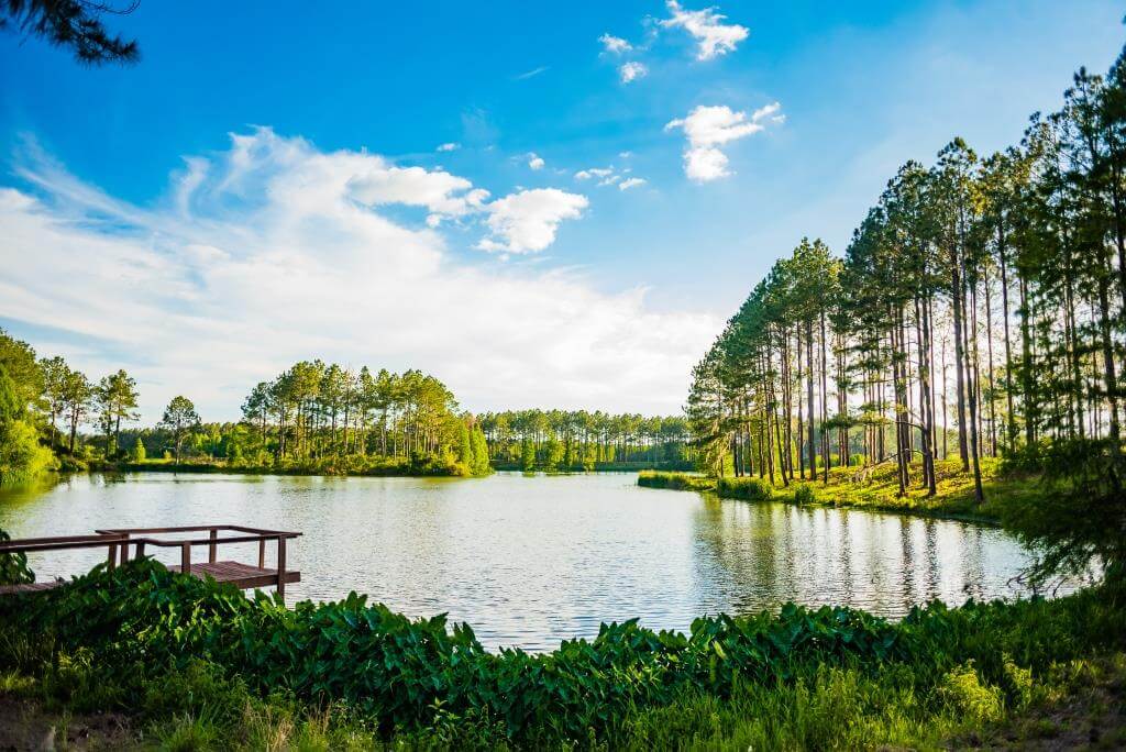 Bienville grounds 001