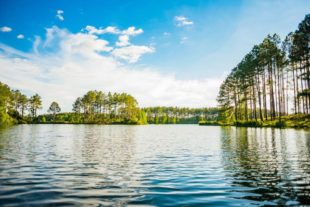 Bienville grounds 002