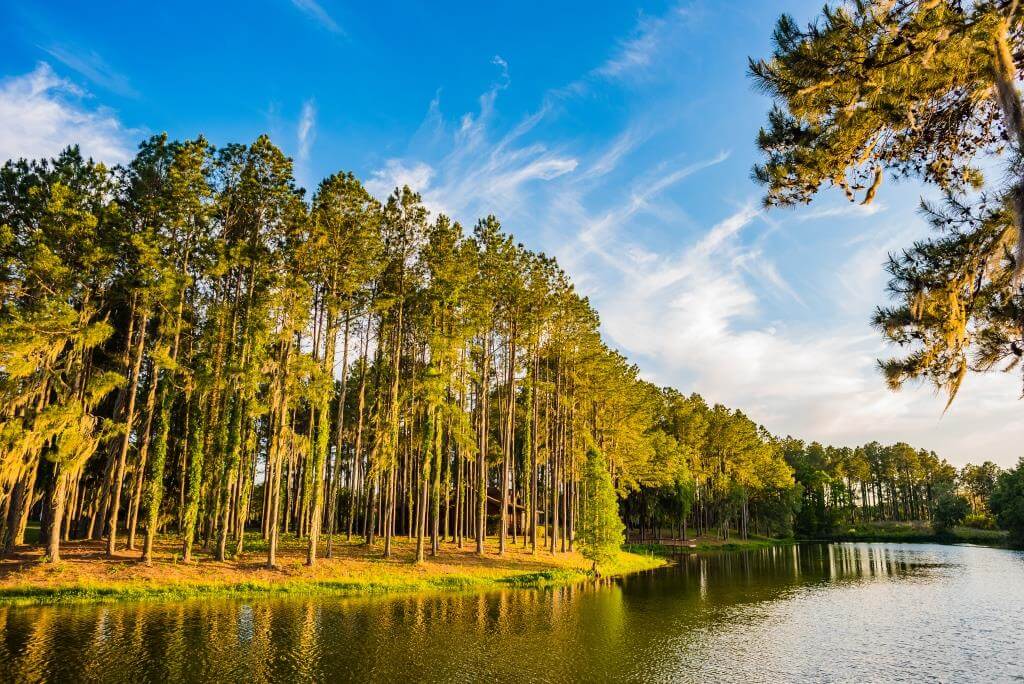Bienville grounds 012